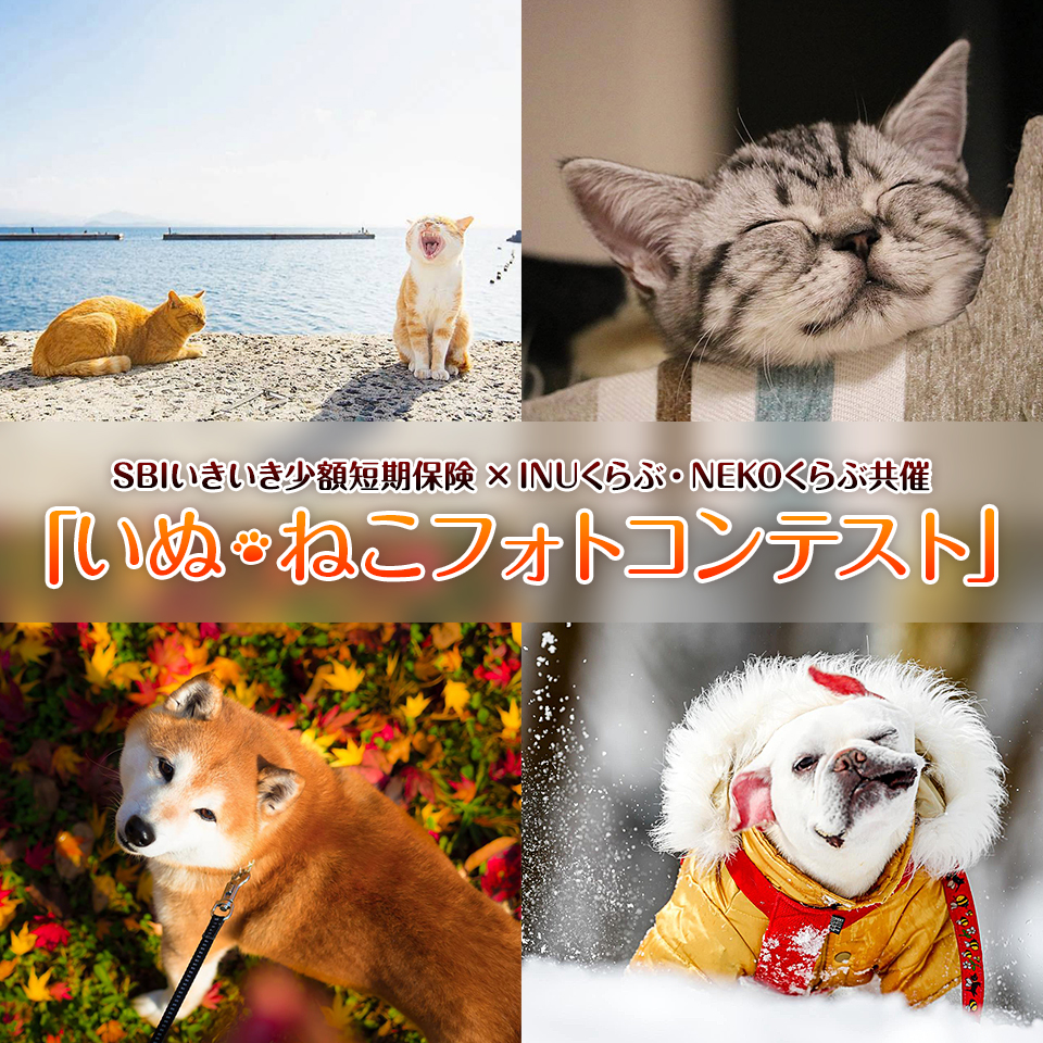 SBIいきいき少額短期保険×INUくらぶ・NEKOくらぶ共催「いぬ・ねこフォトコンテスト」
