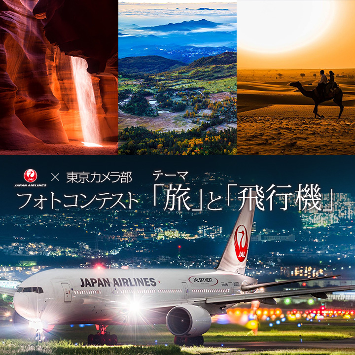 jal 東京 カメラ 部