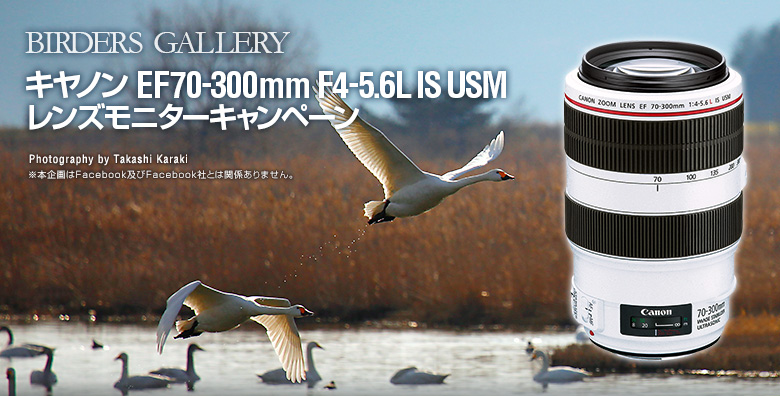 キヤノン「EF70-300mm F4-5.6L IS USM」 モニターキャンペーン（Birders Gallery）