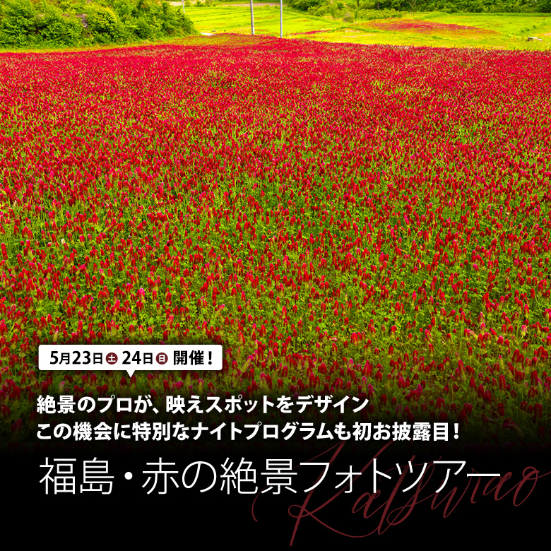 絶景のプロが、映えスポットをデザイン この機会に特別なナイトプログラムも初お披露目！福島・赤の絶景フォトツアー